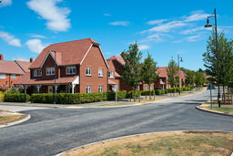 Houses facing road