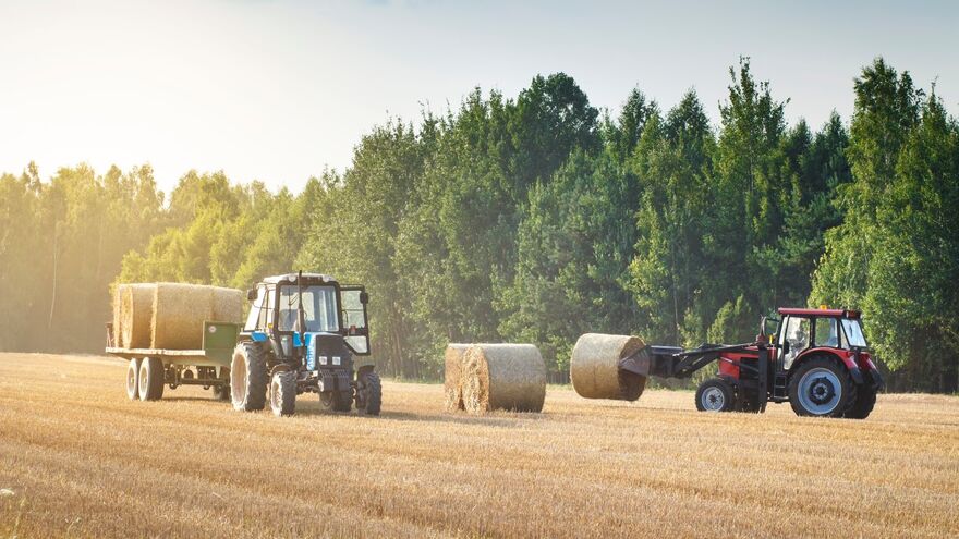 Farming 