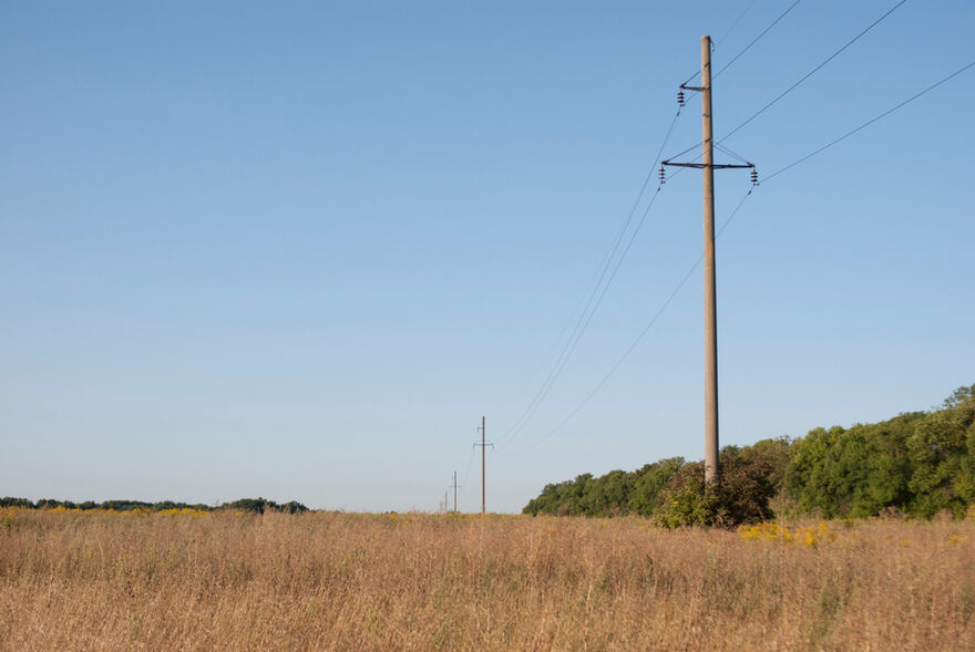 Telegraph pole in field