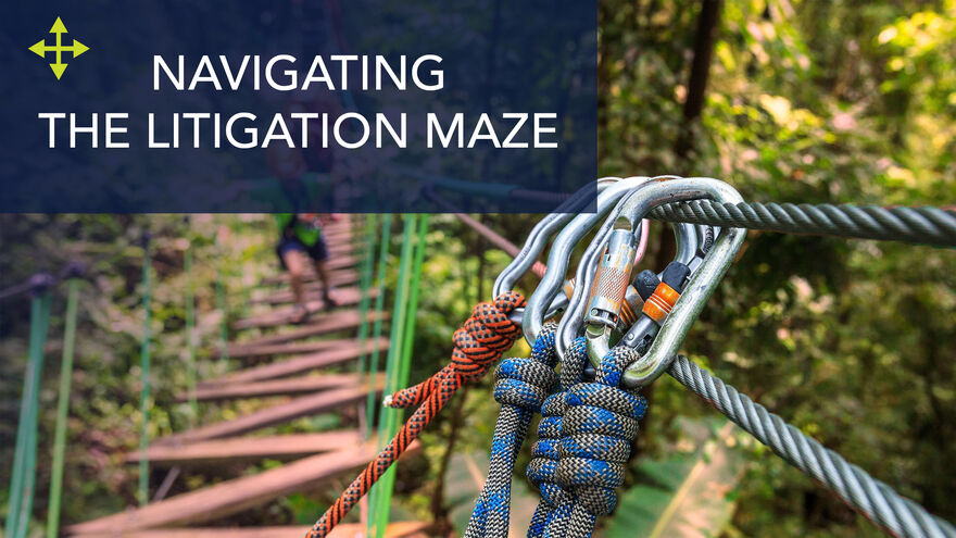 Navigating The Litigation Maze