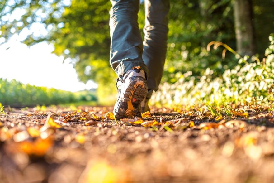 Norwich Legal Walk 2018