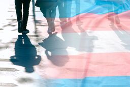 Transgender Flag