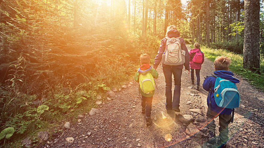 Howes Percival Family Services Woodland