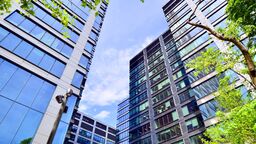 Fresh green trees and office building, business concept