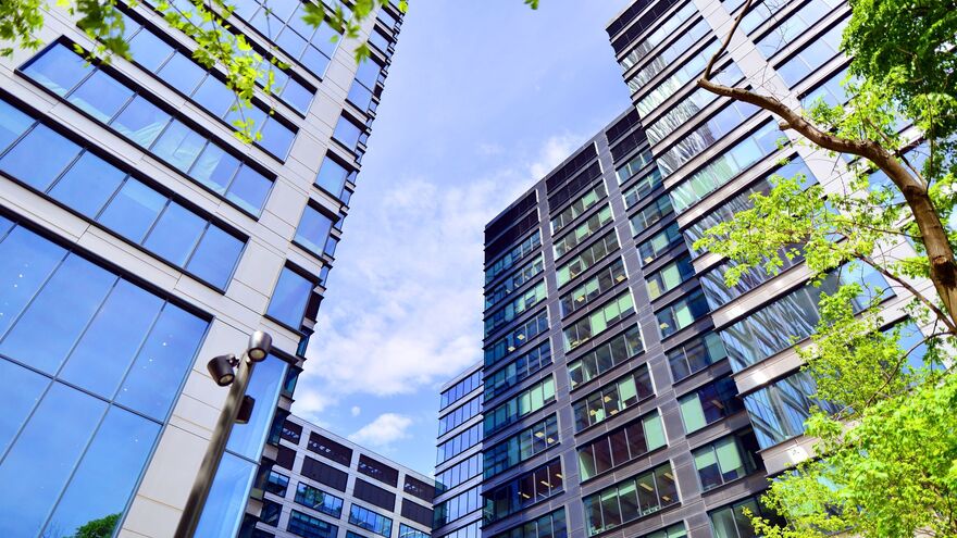 Fresh green trees and office building, business concept