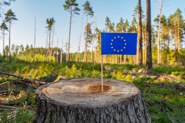 EU Deforestation