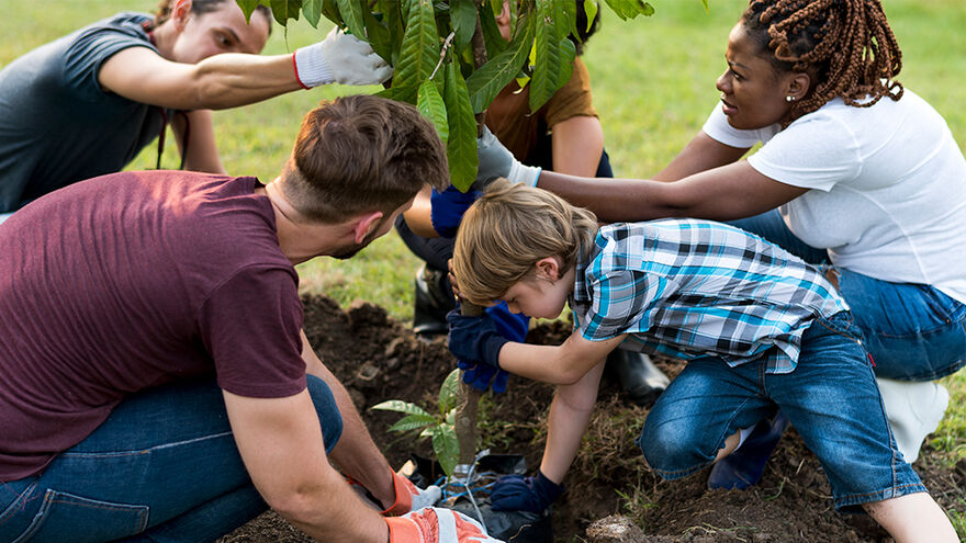 Howes Percival Community and Partnerships planting 