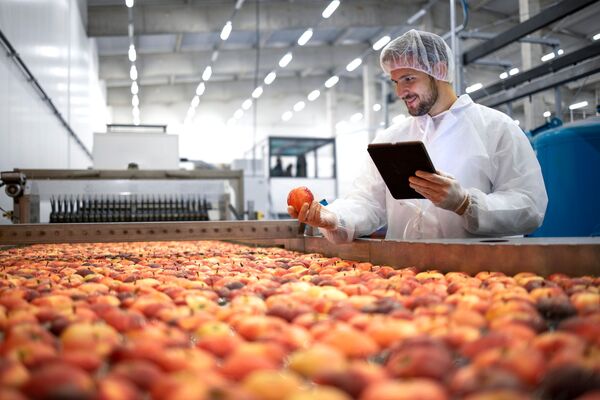 Technologist in food processing factory