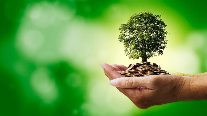 tree on coins