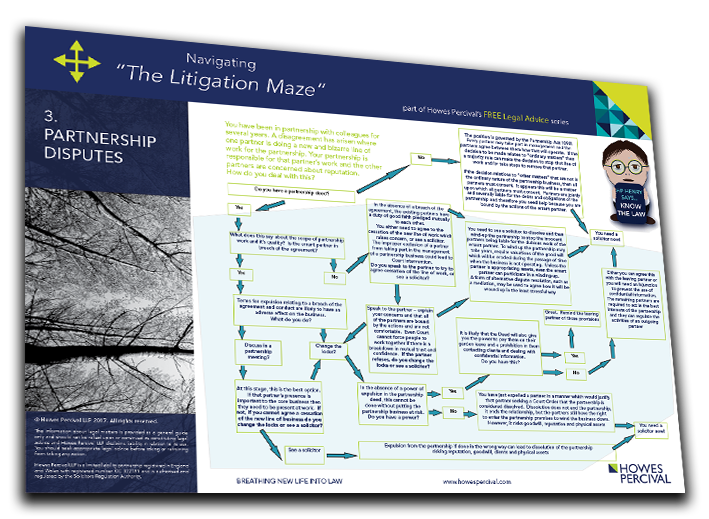 Litigation Maze 3